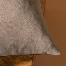 Clove Vera Velvet Lumbar Pillow
