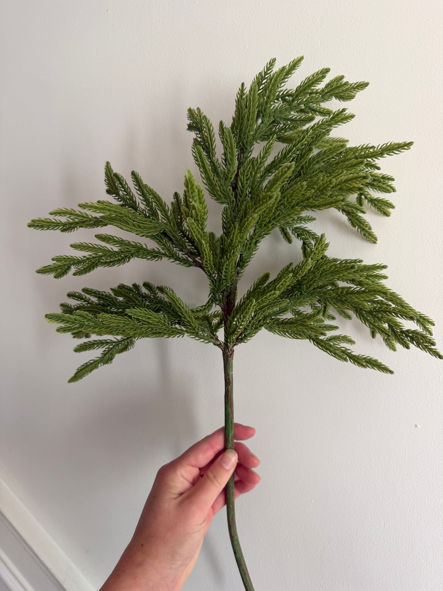 Real Touch Norfolk Island Pine Spray- 23"