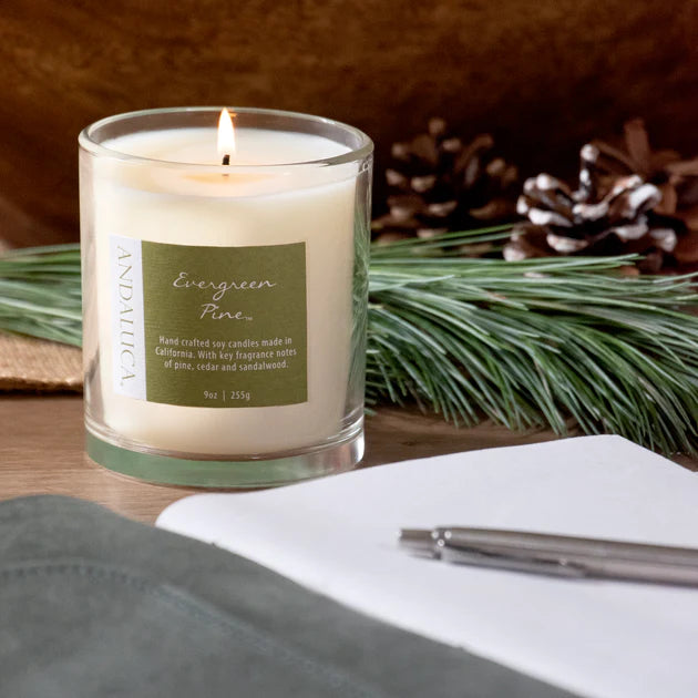 Evergreen Pine Soy Candle