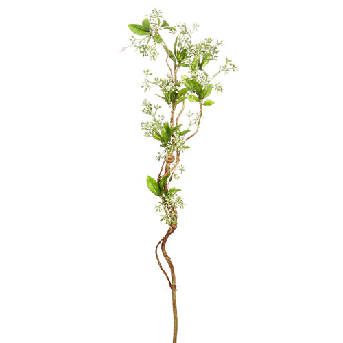 White Twig and Blossom Branch