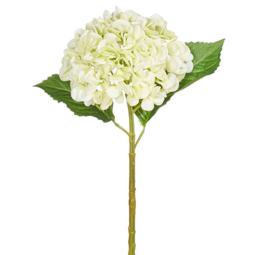 Light Green Real Touch Hydrangea Stem