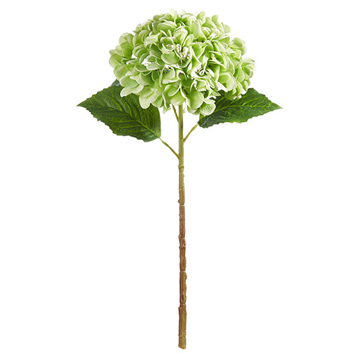 Green Real Touch Hydrangea Stem