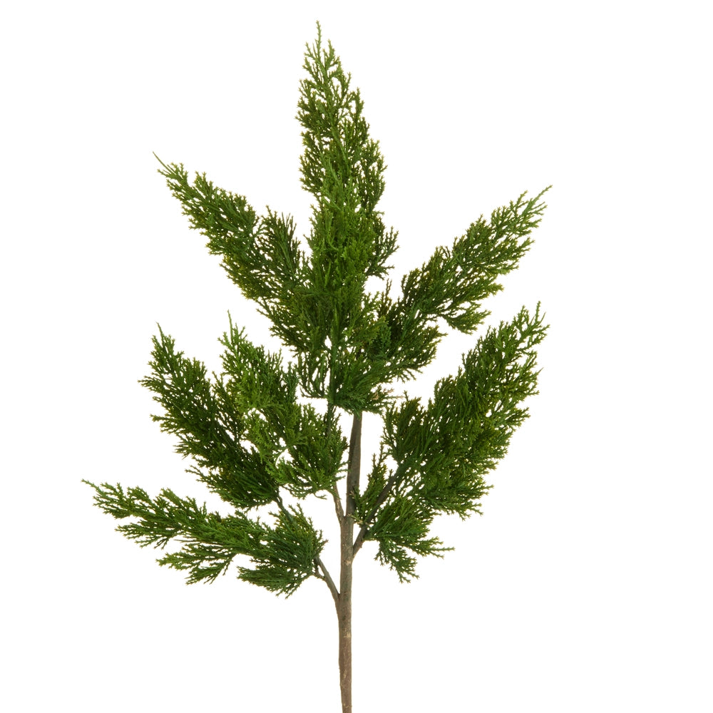Green Cedar Spray