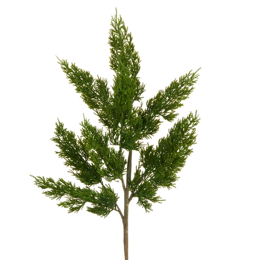 Green Cedar Spray