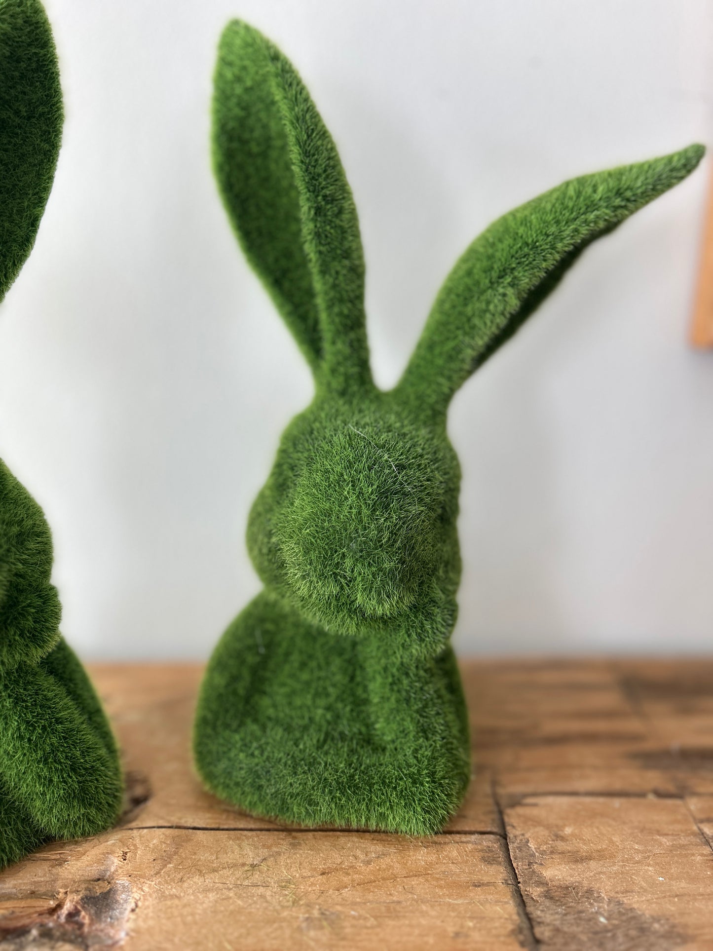 Moss Thoughtful Bunny Busts