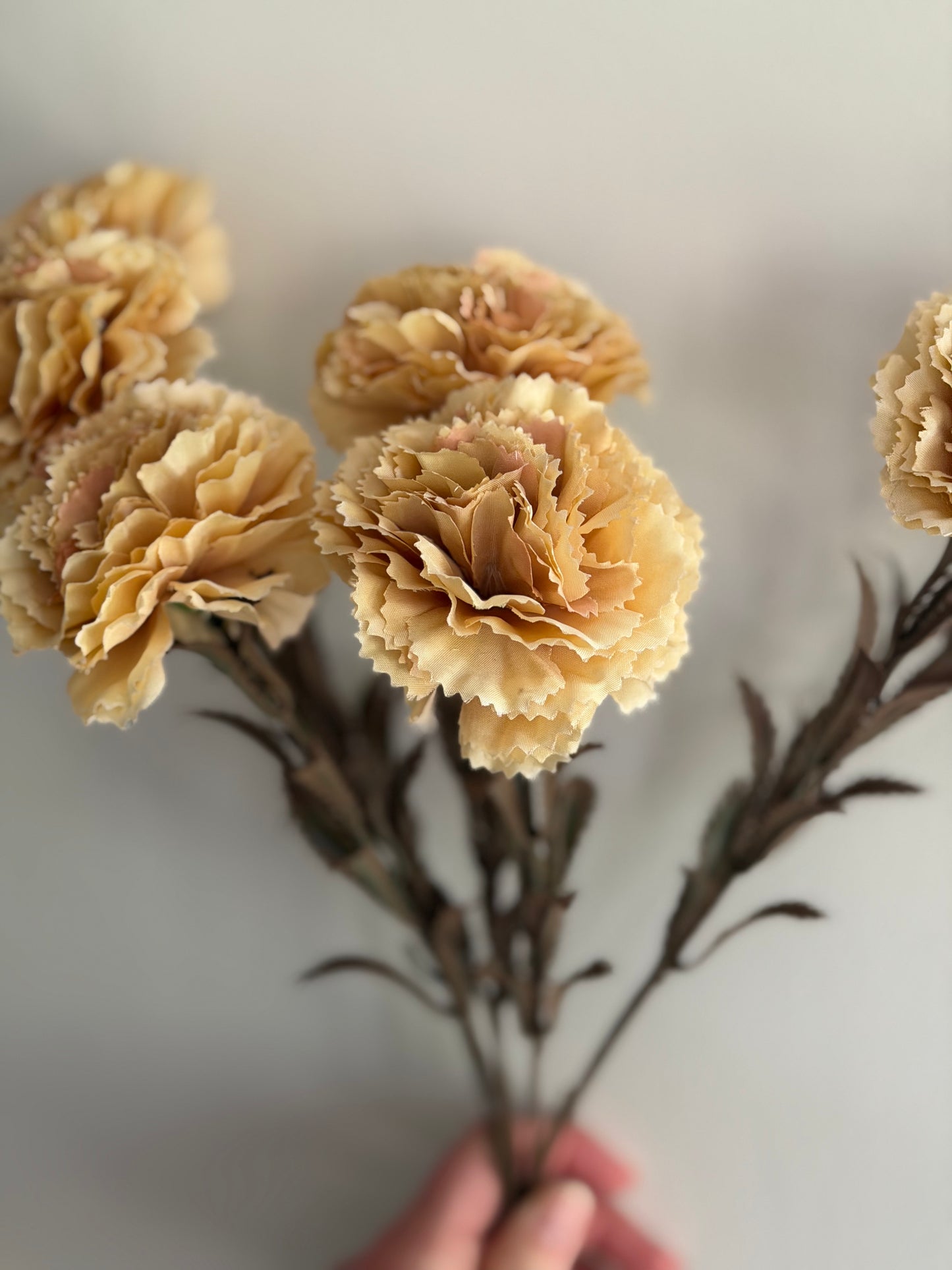 Carnation Spray- Butter Cream