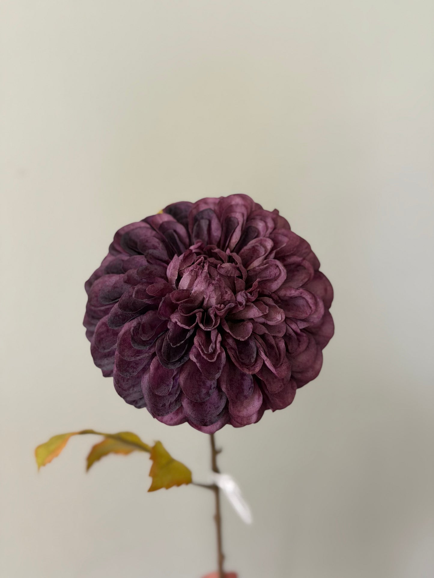 Dried Look Dahlia Stem- Purple