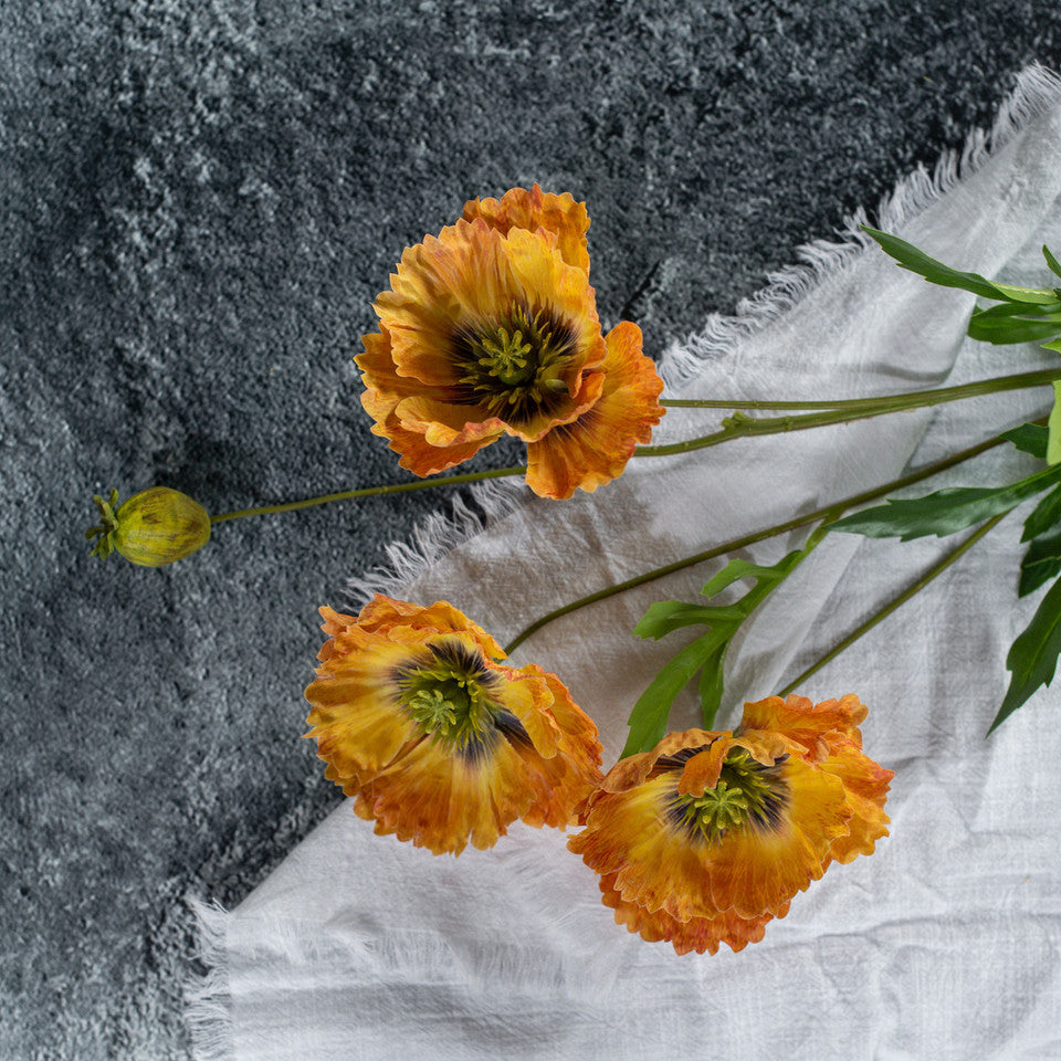 Orange Poppy Stem