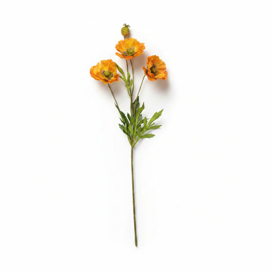 Orange Poppy Stem
