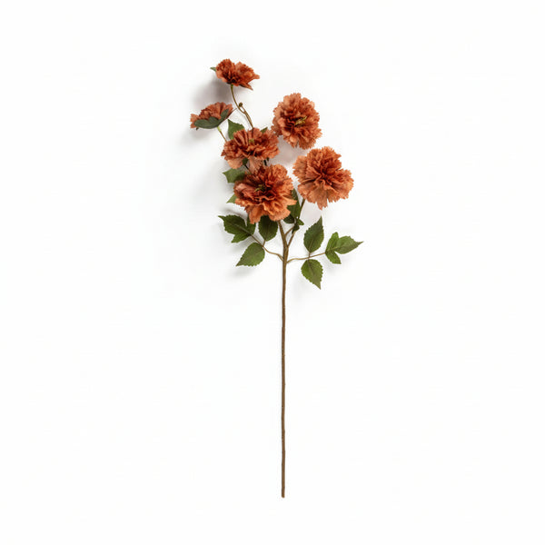 Burnt Orange Carnation Stem