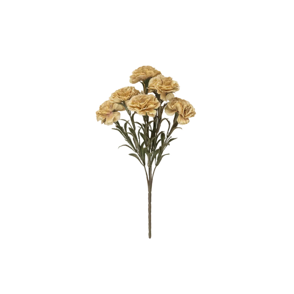 Carnation Spray- Butter Cream
