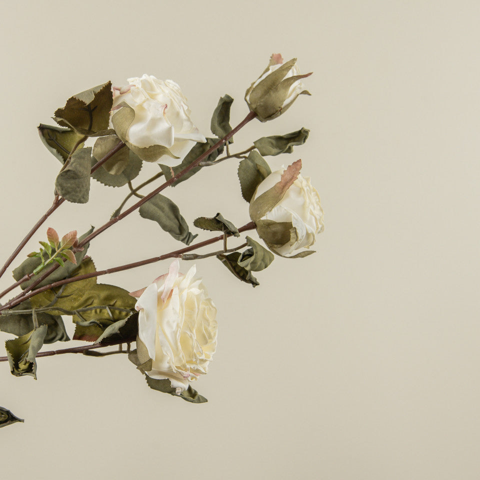 Dried Look White Rose Stem