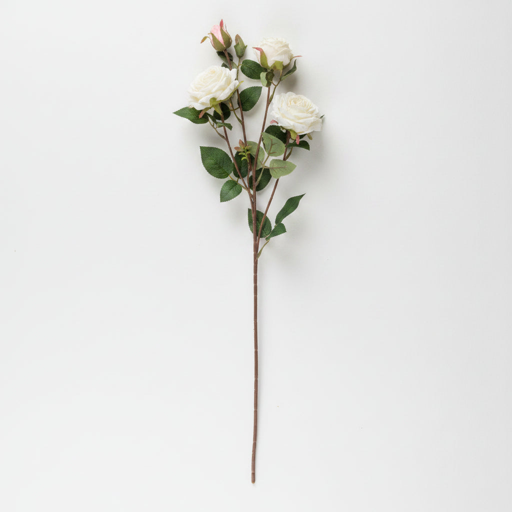 Dried Look White Rose Stem