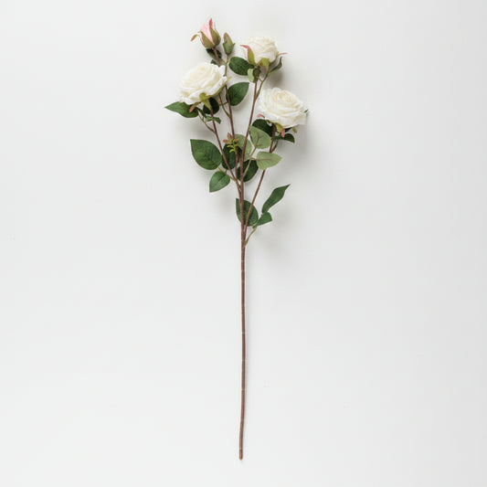 Dried Look White Rose Stem