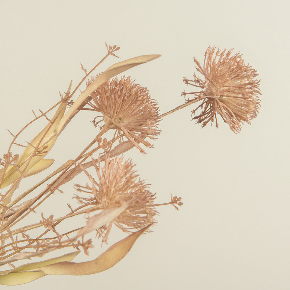 Rosewood Dried Look Wild Leek Floral