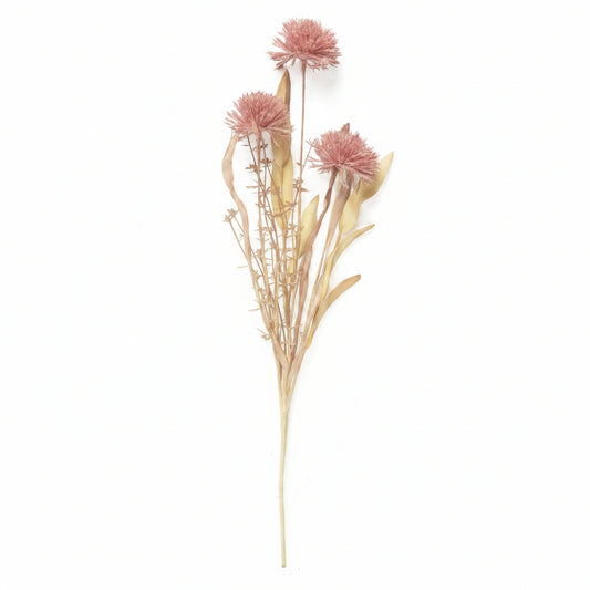 Rosewood Dried Look Wild Leek Floral