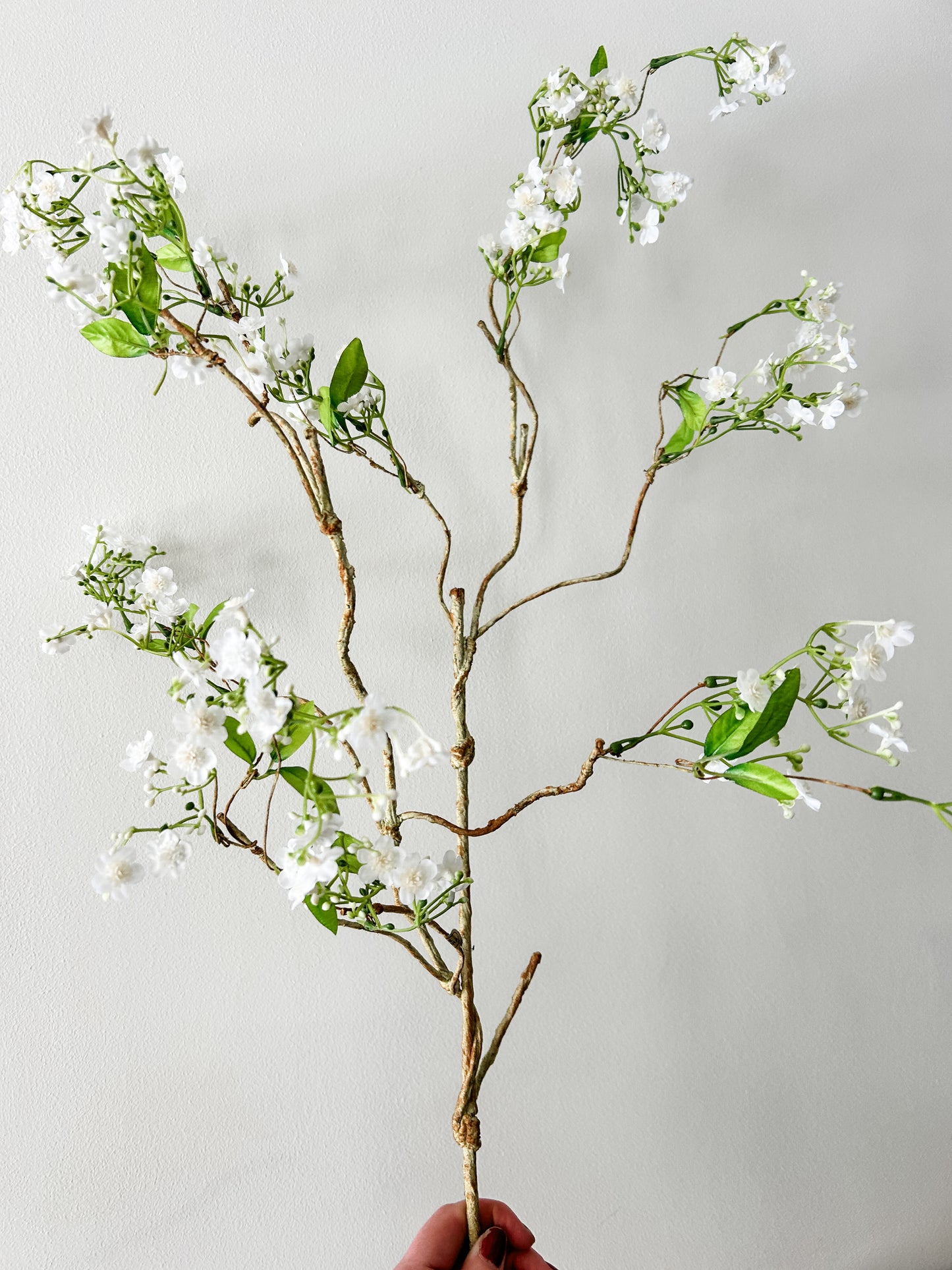 White Flowering Branch