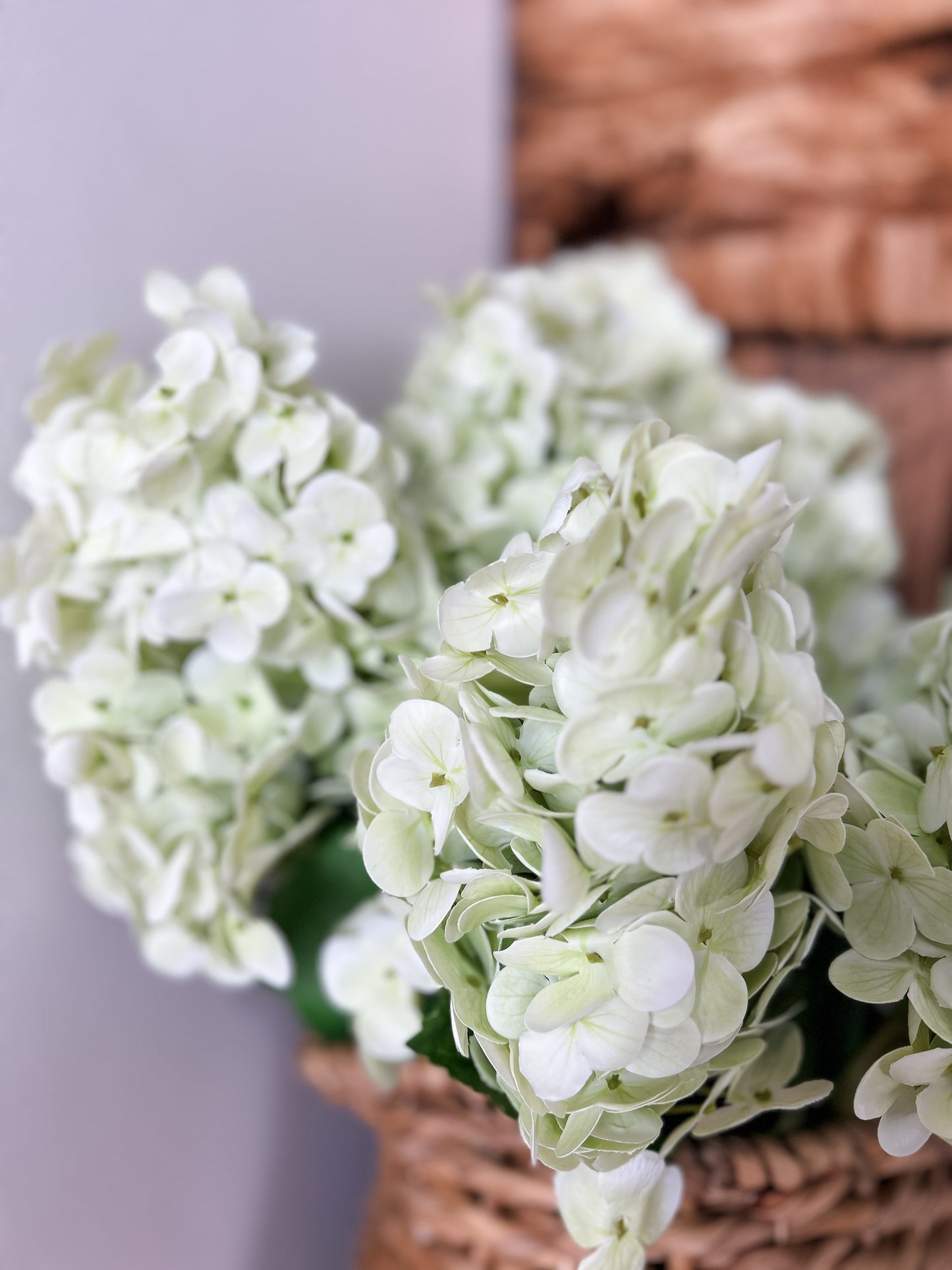 Light Green Real Touch Hydrangea Stem