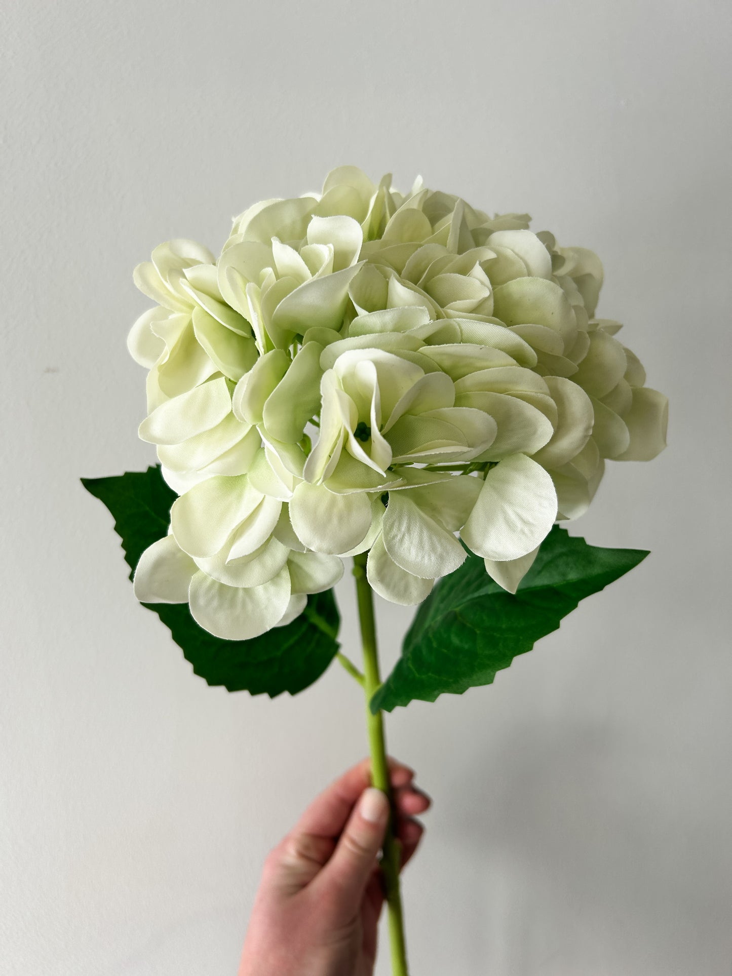 Light Green Real Touch Hydrangea Stem