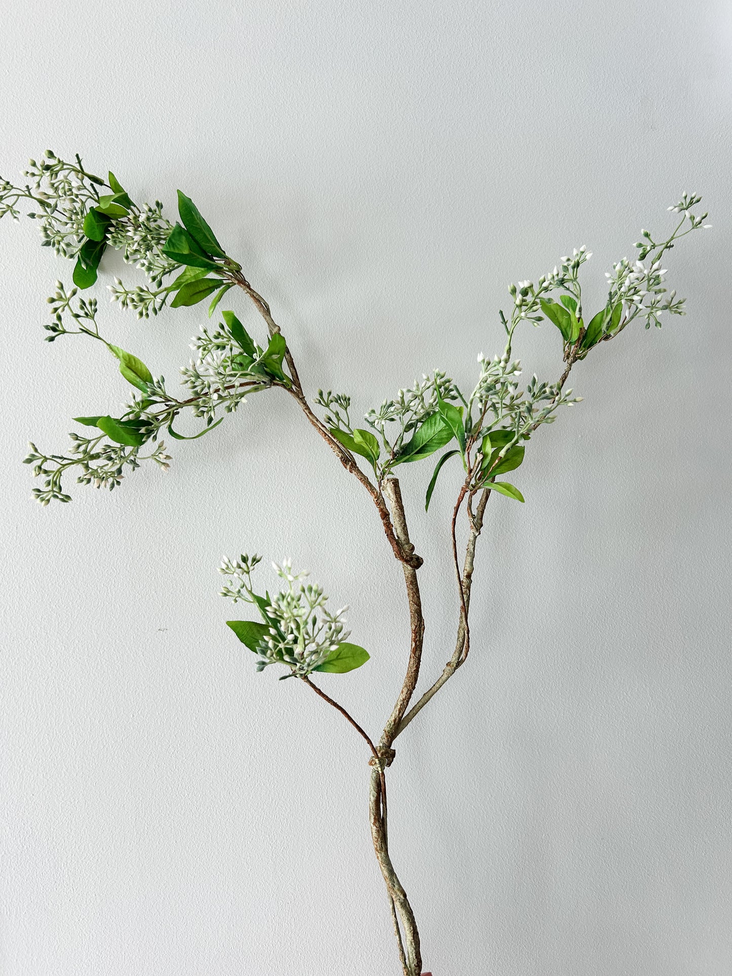 White Twig and Blossom Branch