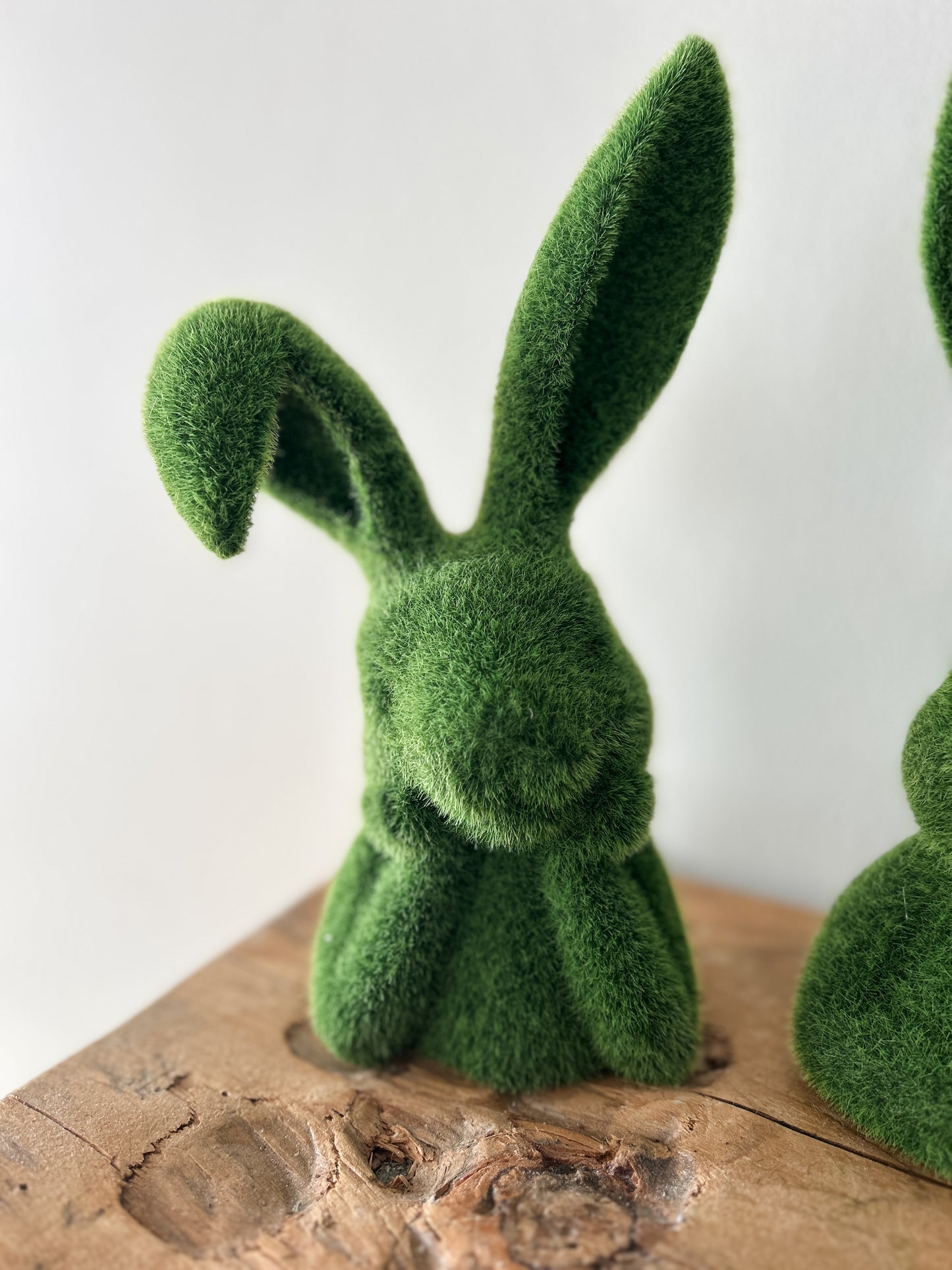 Moss Thoughtful Bunny Busts