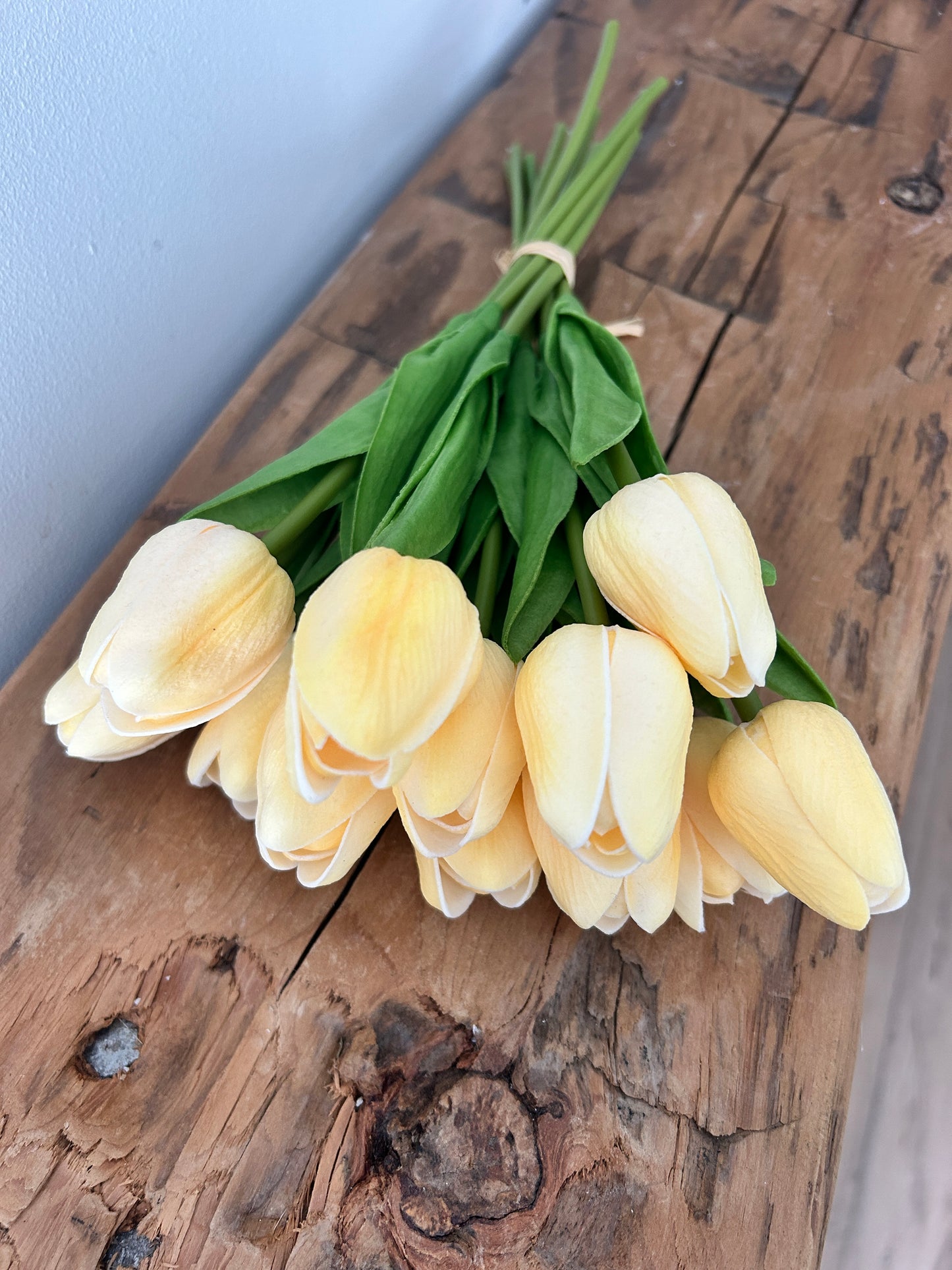 Light Peach Real Touch Tulip Dozen