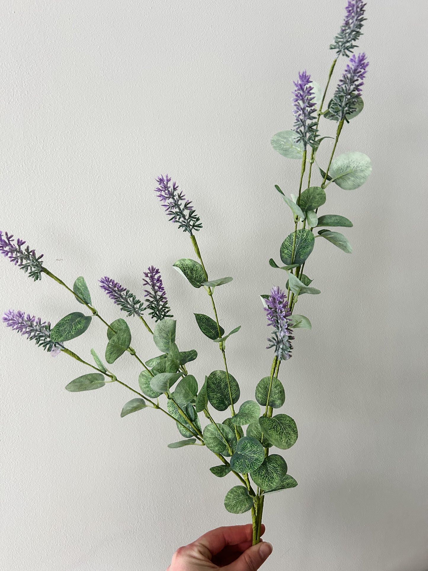 Lavender and Eucalyptus Stem