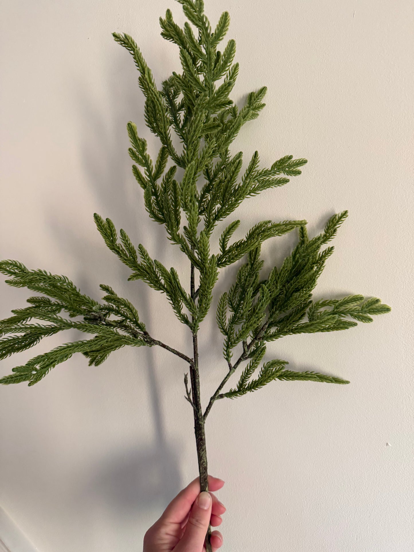 32" Real Touch Norfolk Pine Branch