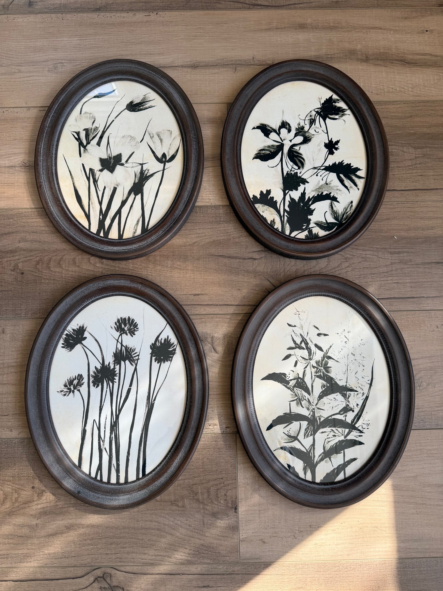 Oval Black & Cream Botanical Wall Art- Assorted Styles