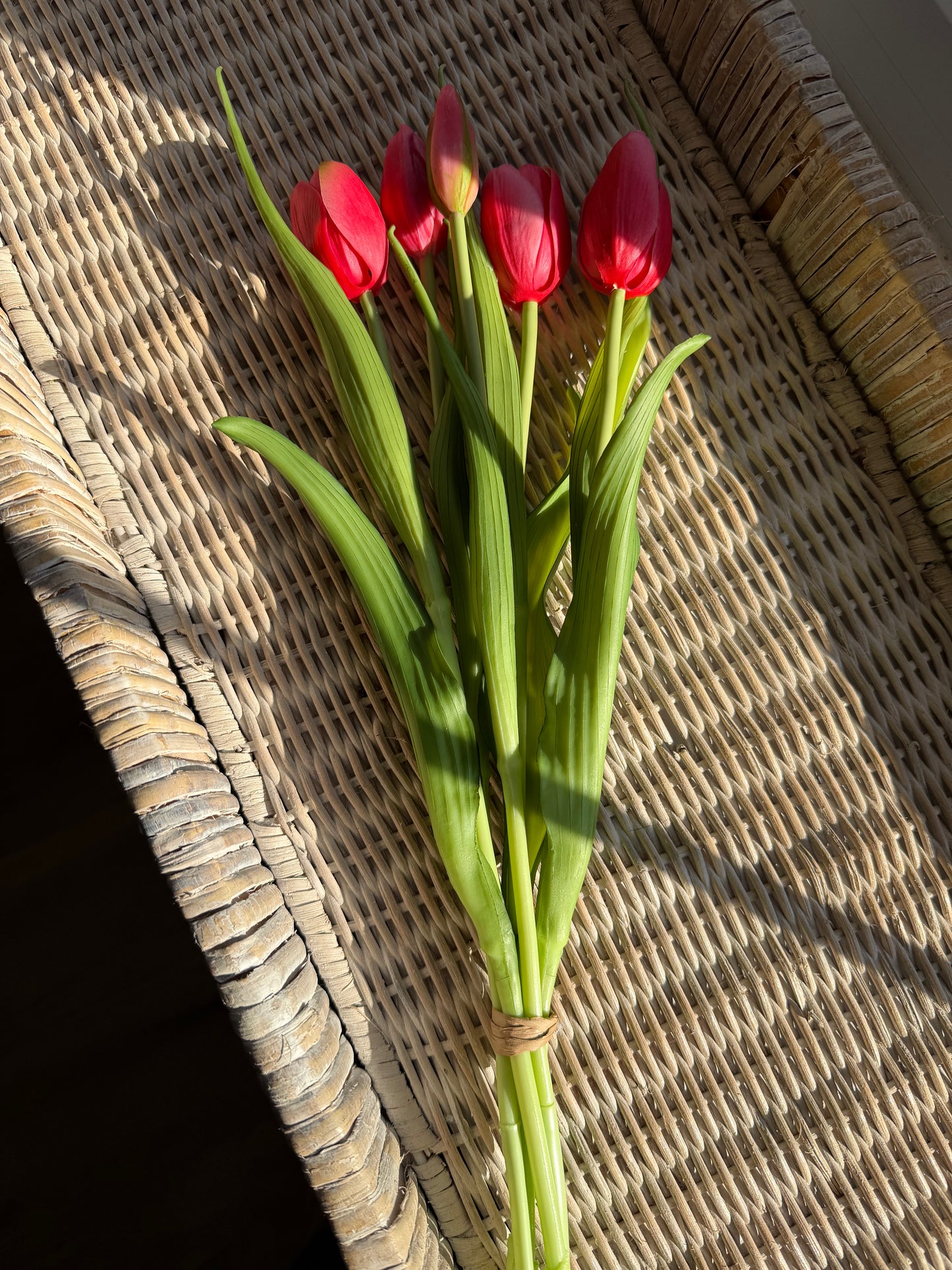 Deep Pink Large Dynasty Tulip