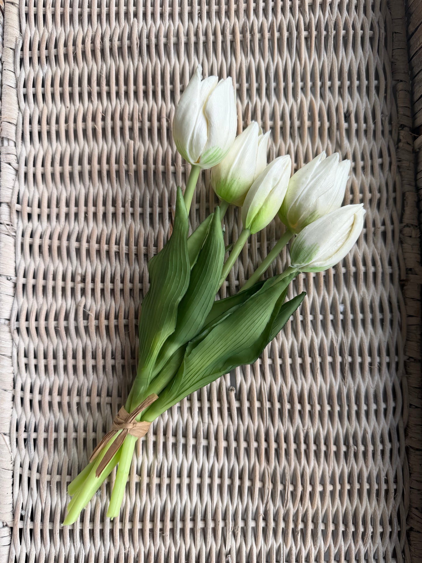 White Mini Wild Tulip Bundle