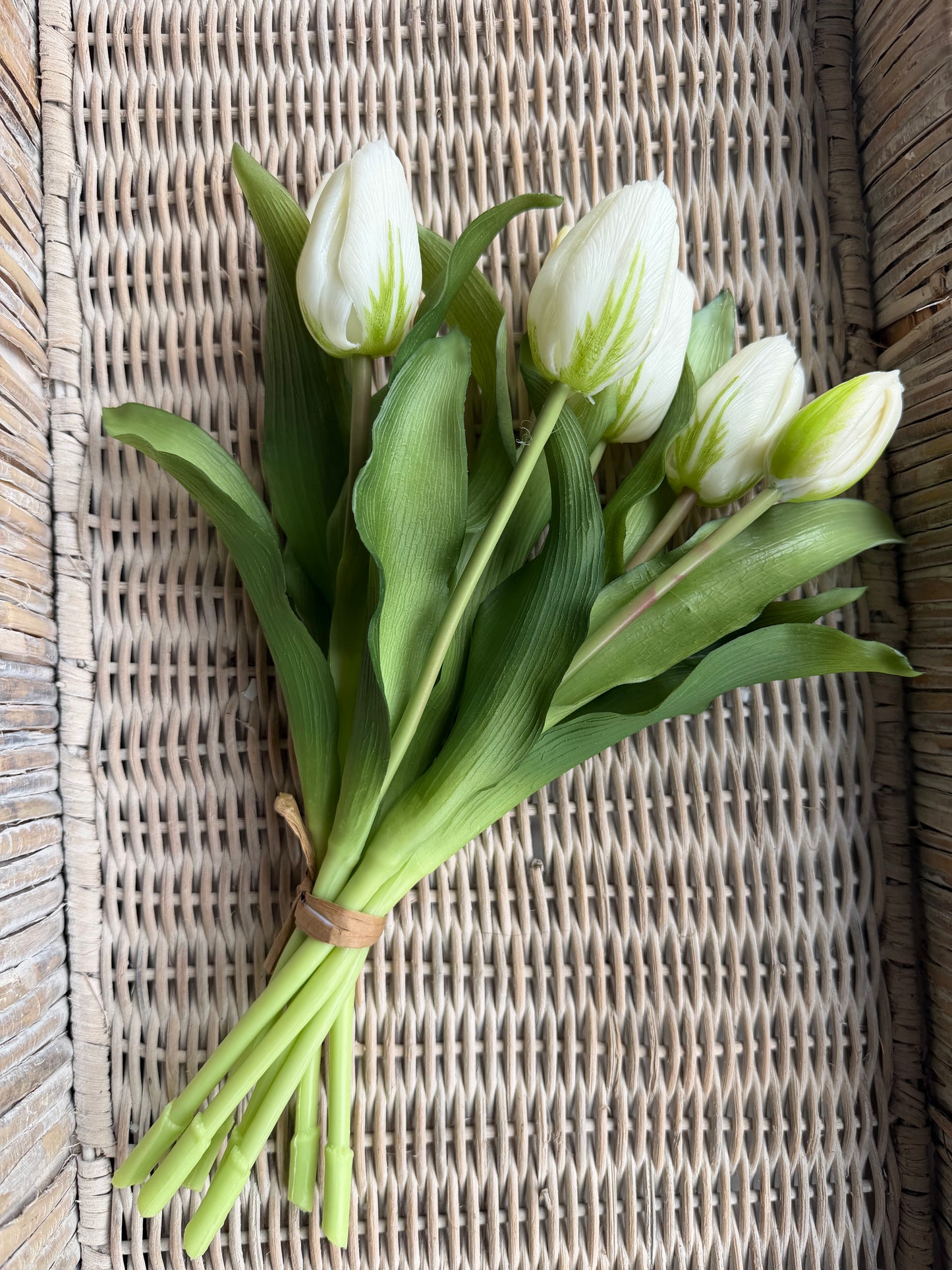 White Formosa Tulip Bundle-12”
