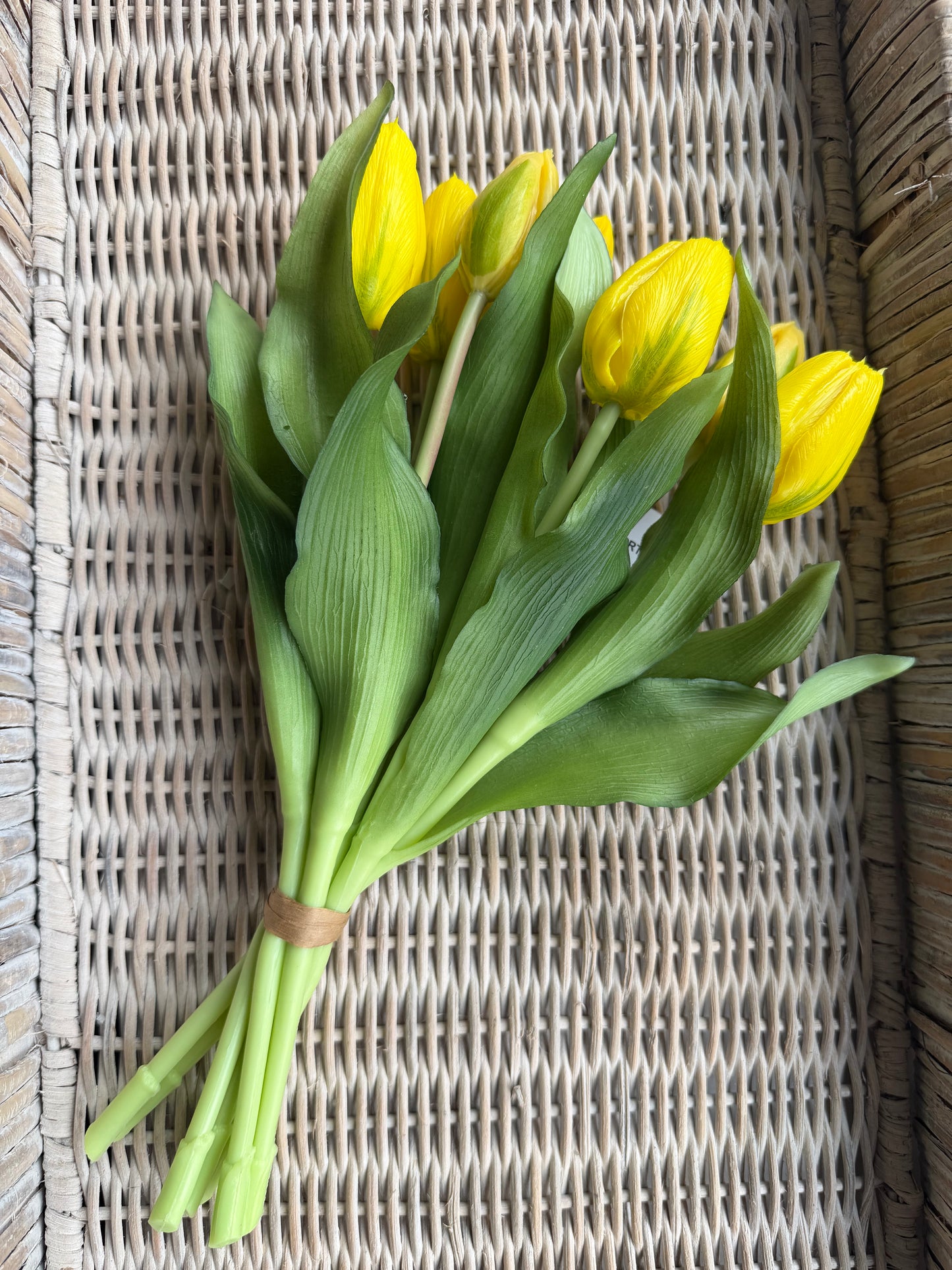 Yellow Formosa Tulip Bundle-12”