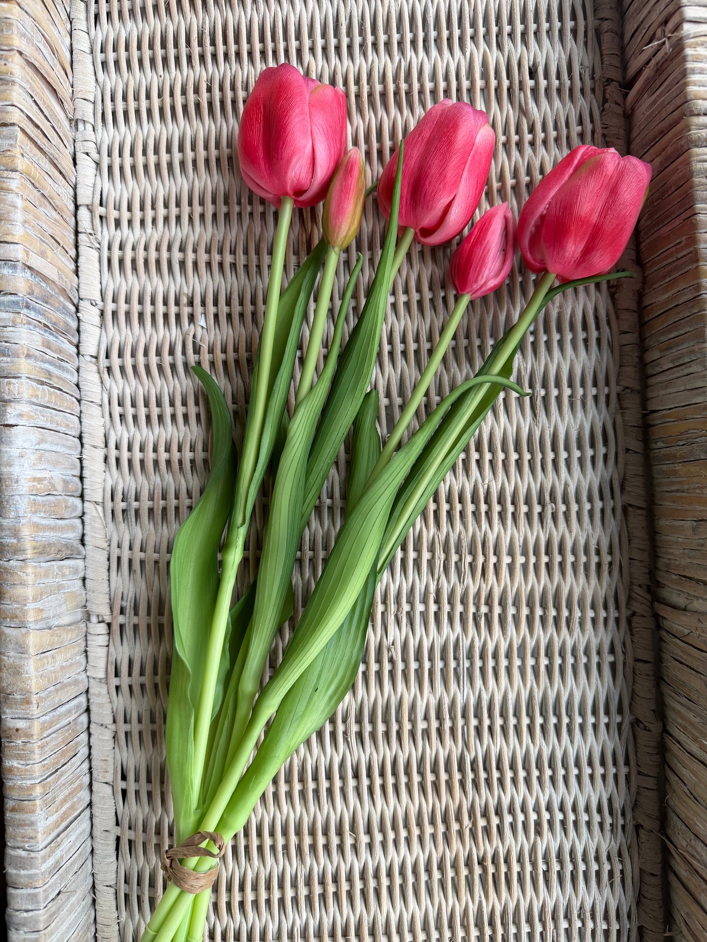 Deep Pink Day Time Large Bulb Tulip Bundle-18"
