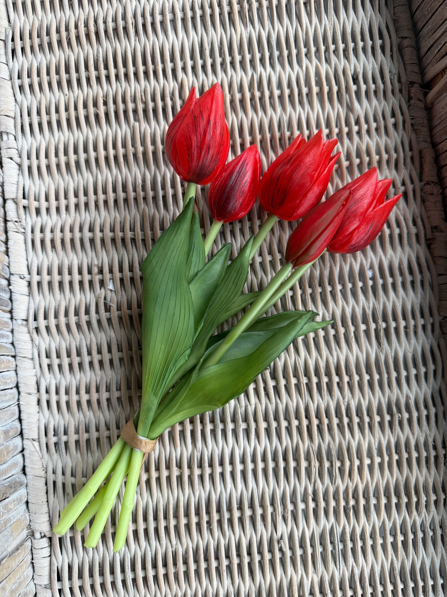 Red Mini Wild Tulip Bundle