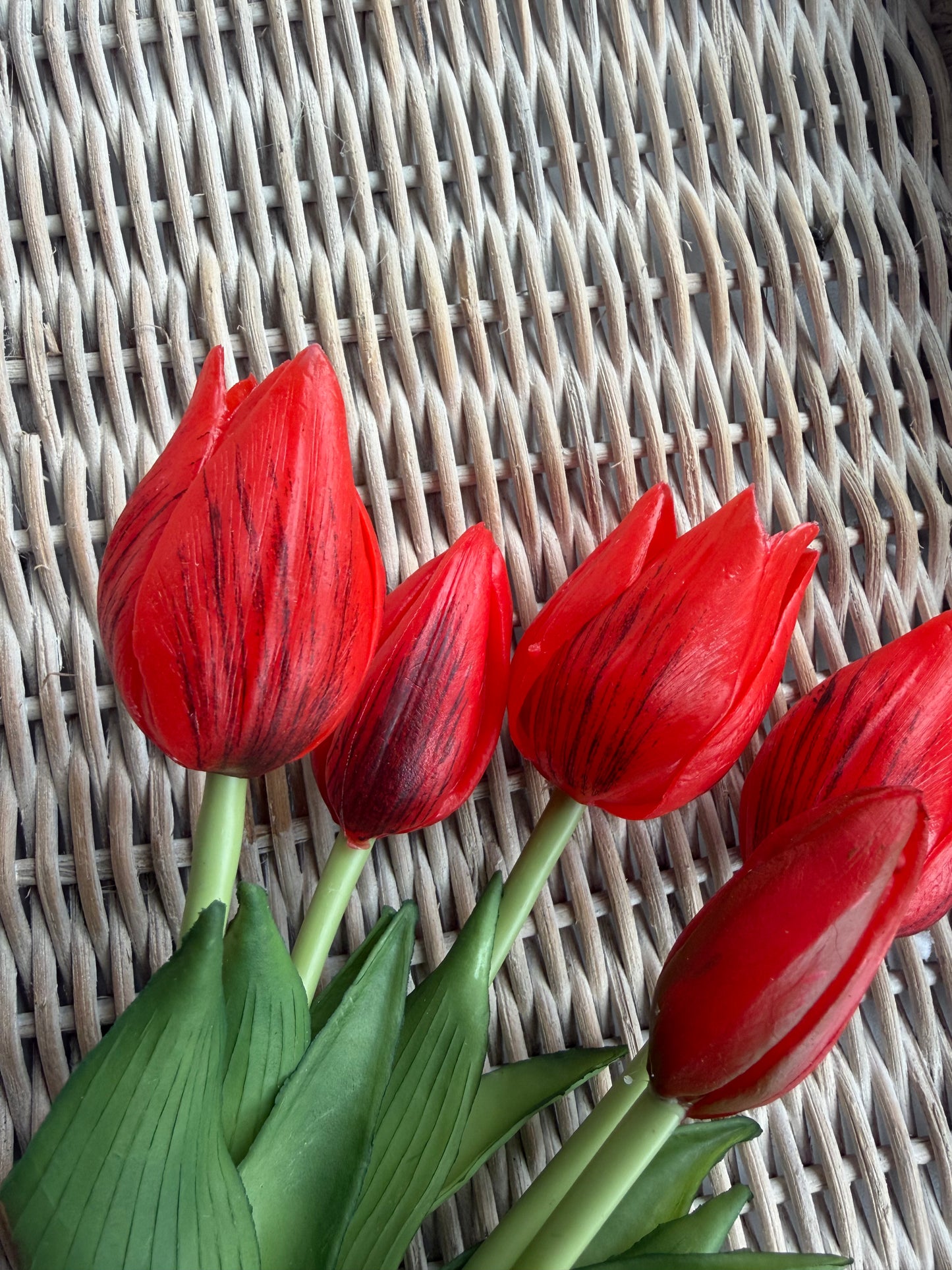 Red Mini Wild Tulip Bundle