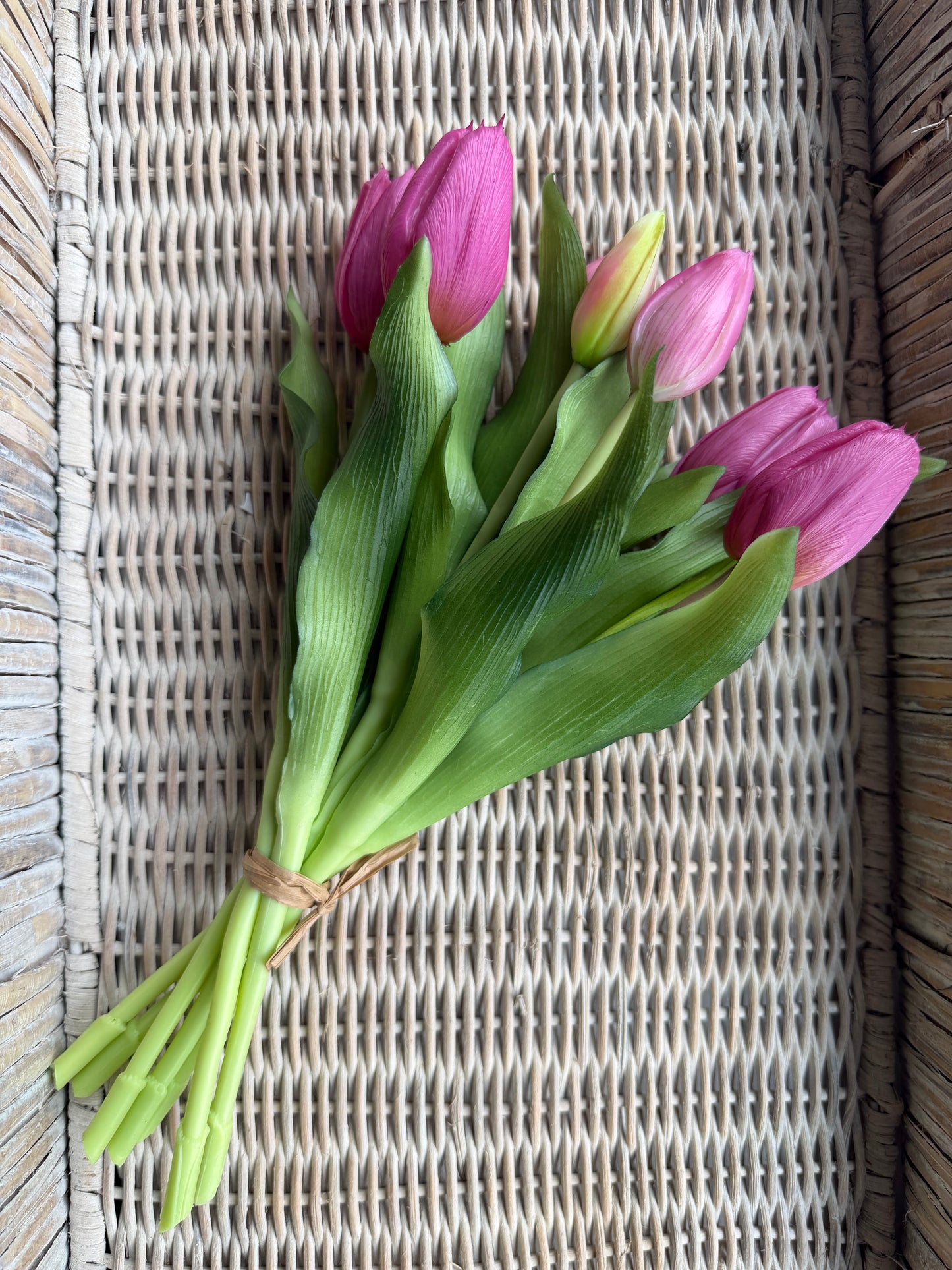 Deep Mauve Formosa Tulip Bundle