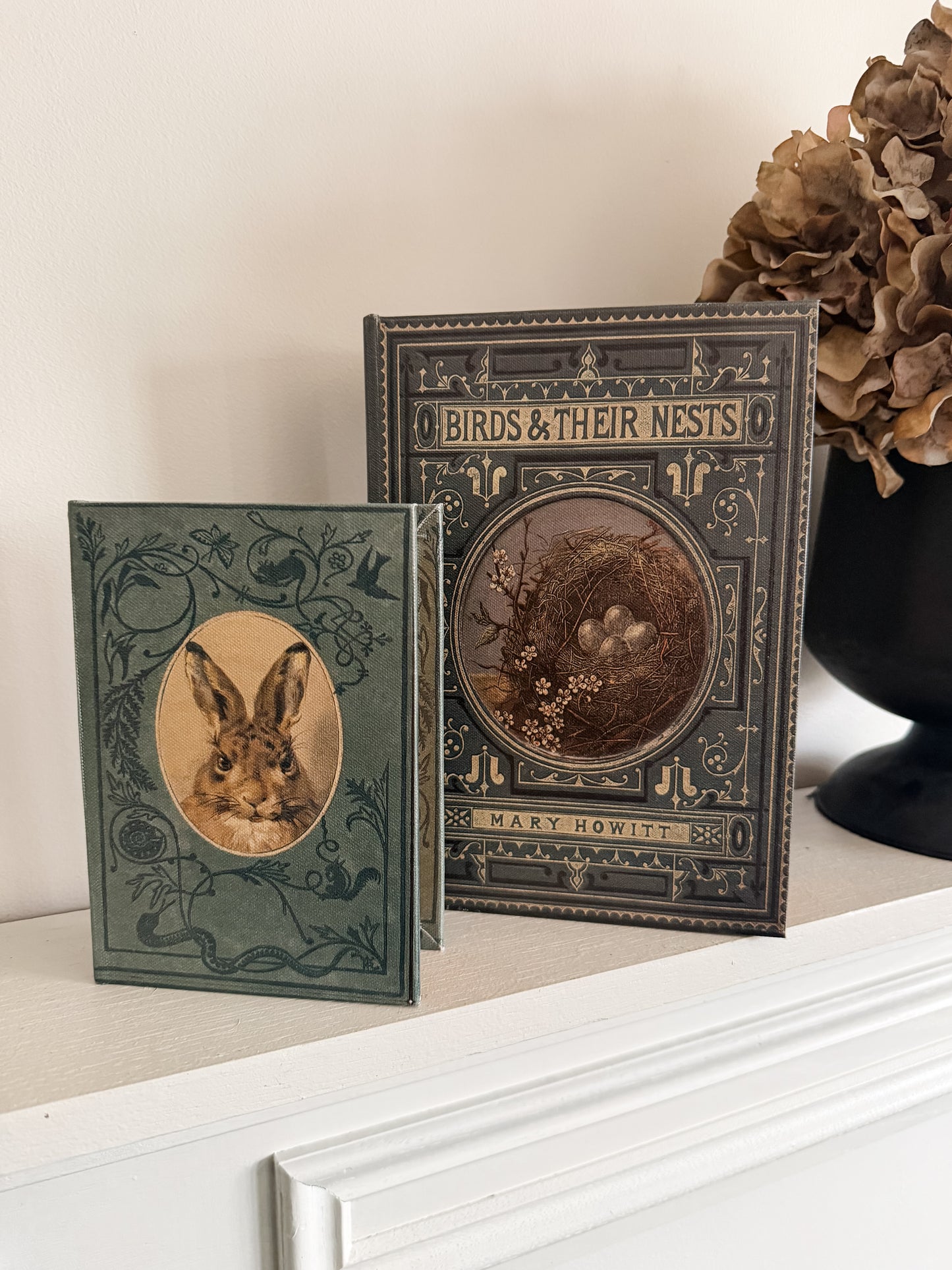 Bird Nest & Rabbit Storage Book Set