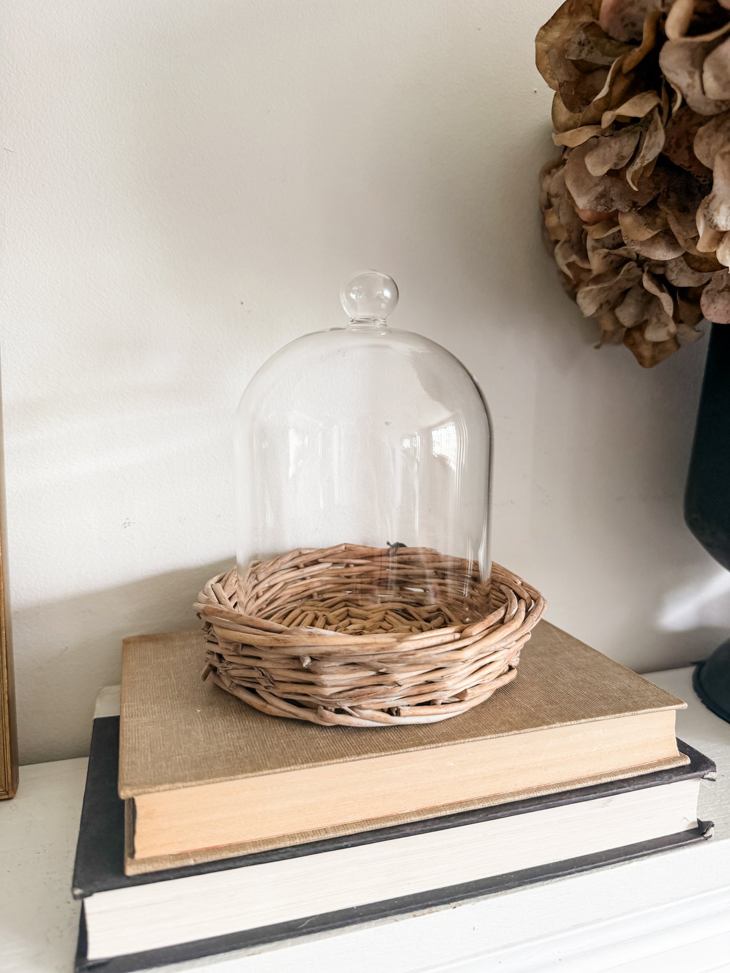 Glass Cloche Set