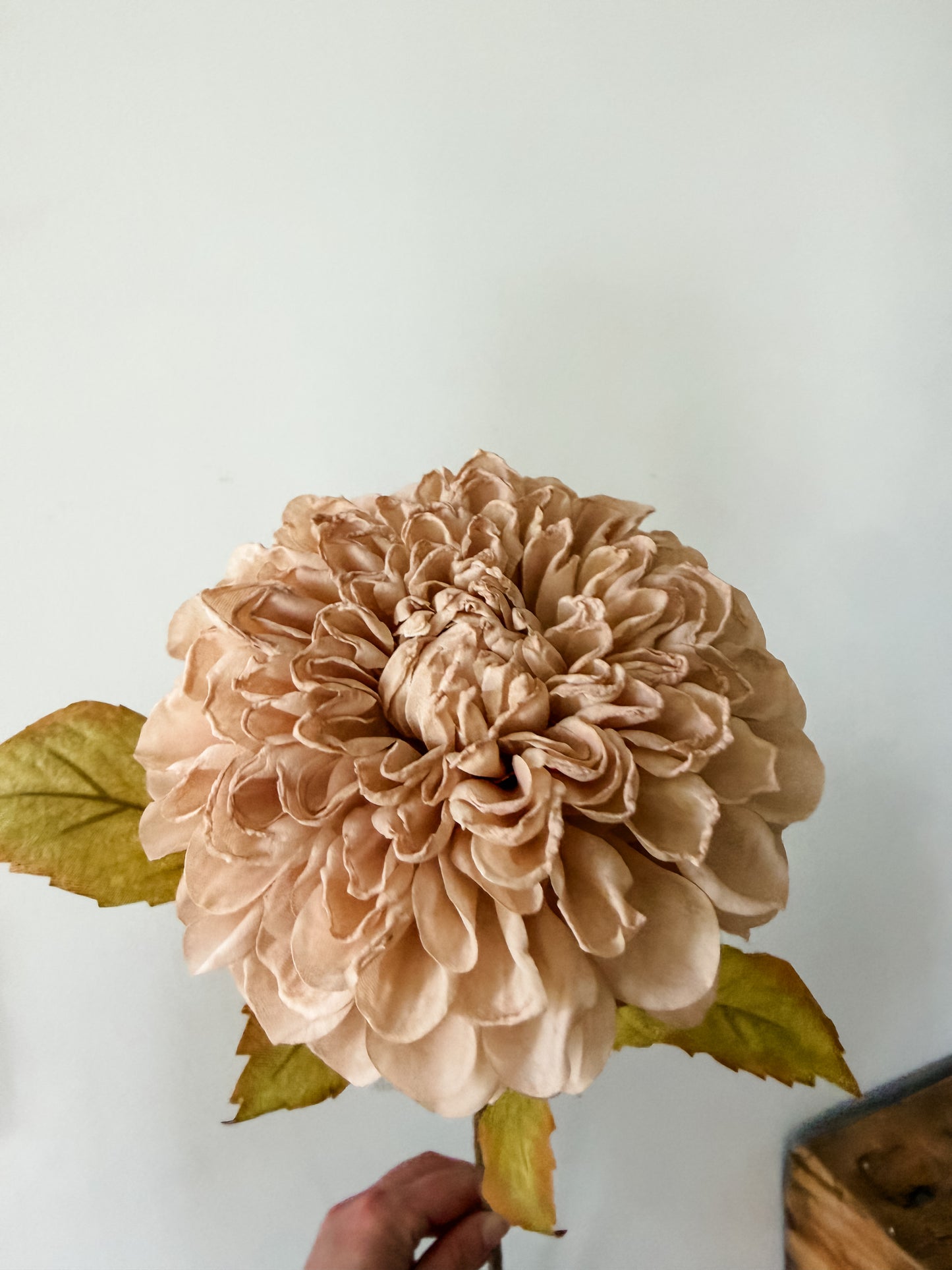 Dried Look Dahlia Stem- Taupe