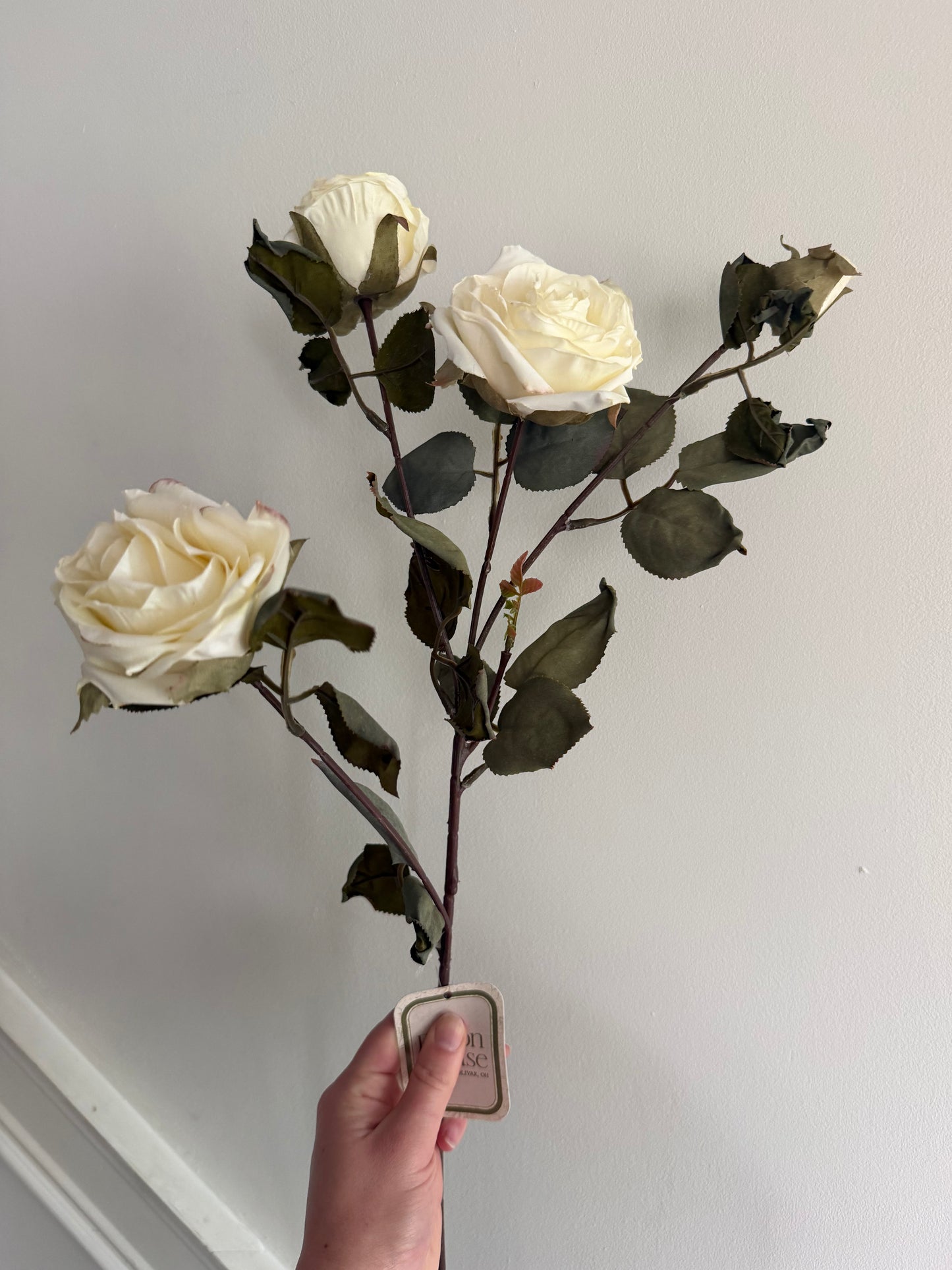 Dried Look White Rose Stem