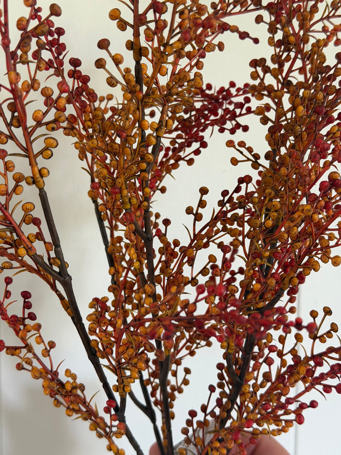Brown & Orange Pepperberries Bush 18"