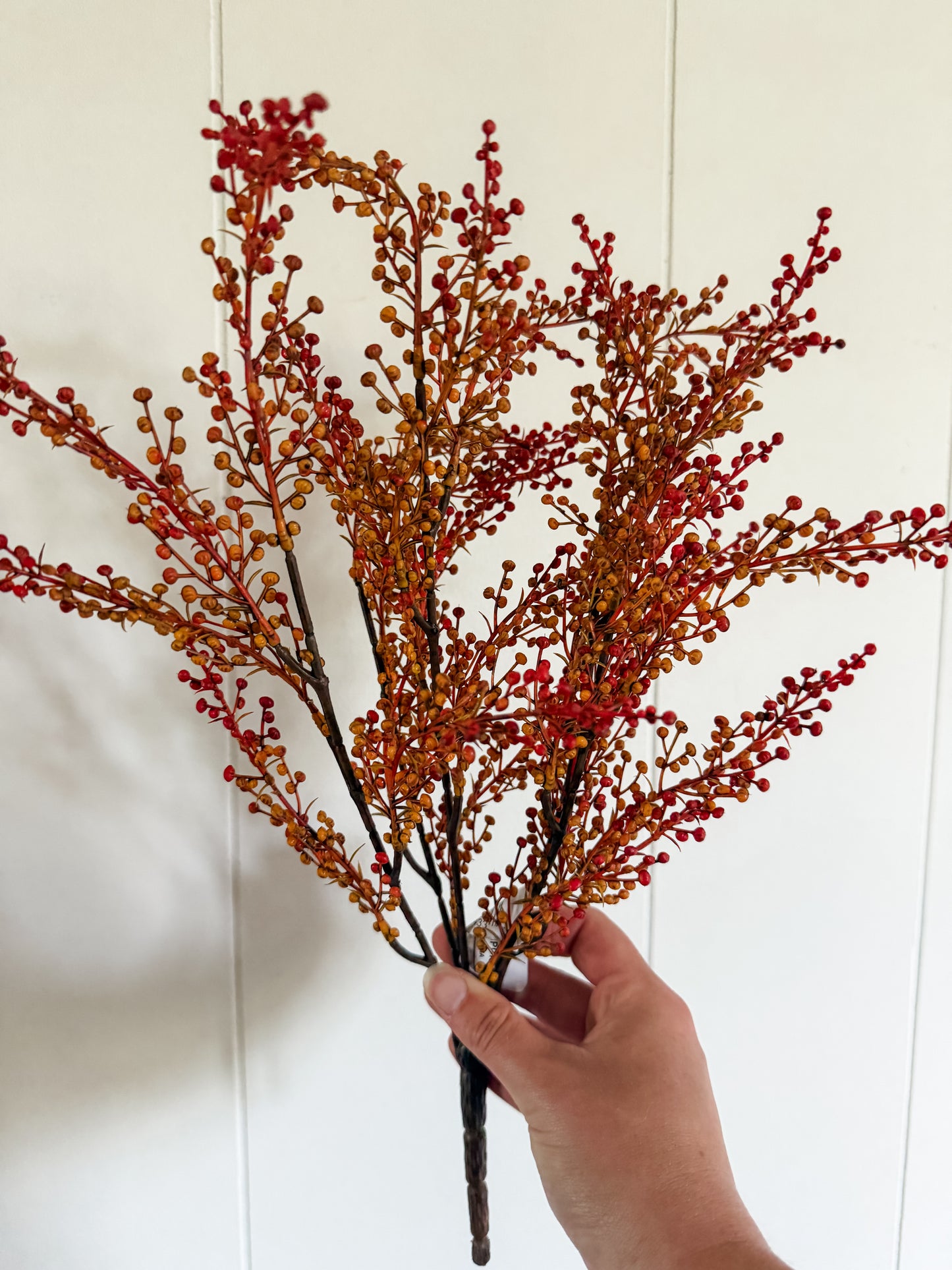 Brown & Orange Pepperberries Bush 18"