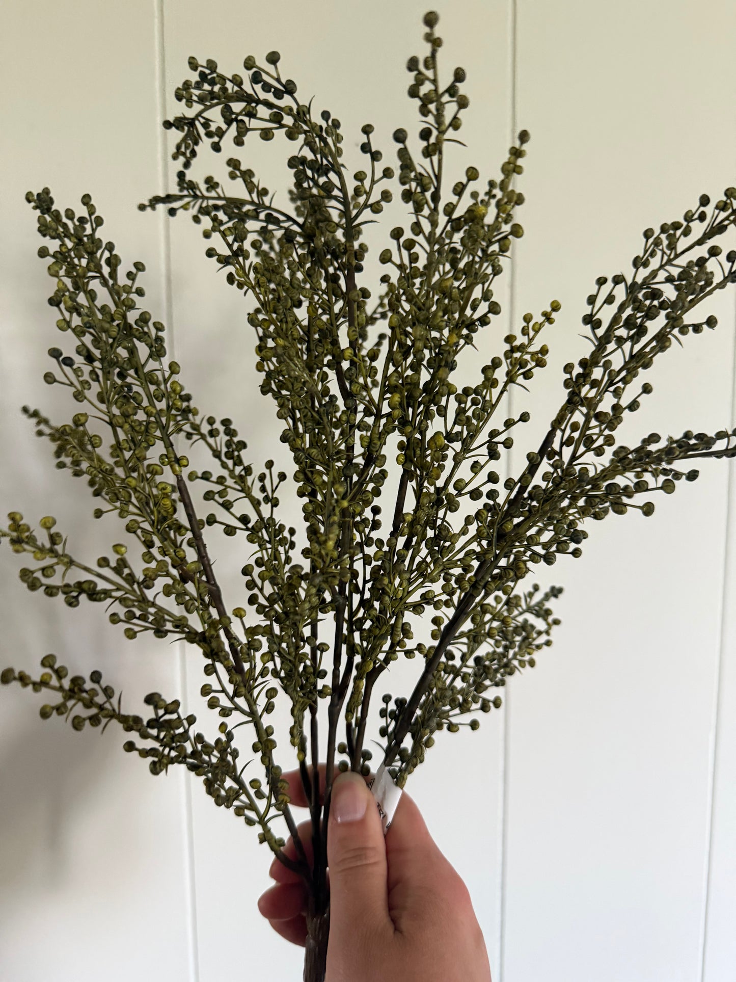 Green Pepperberries Bush 18"