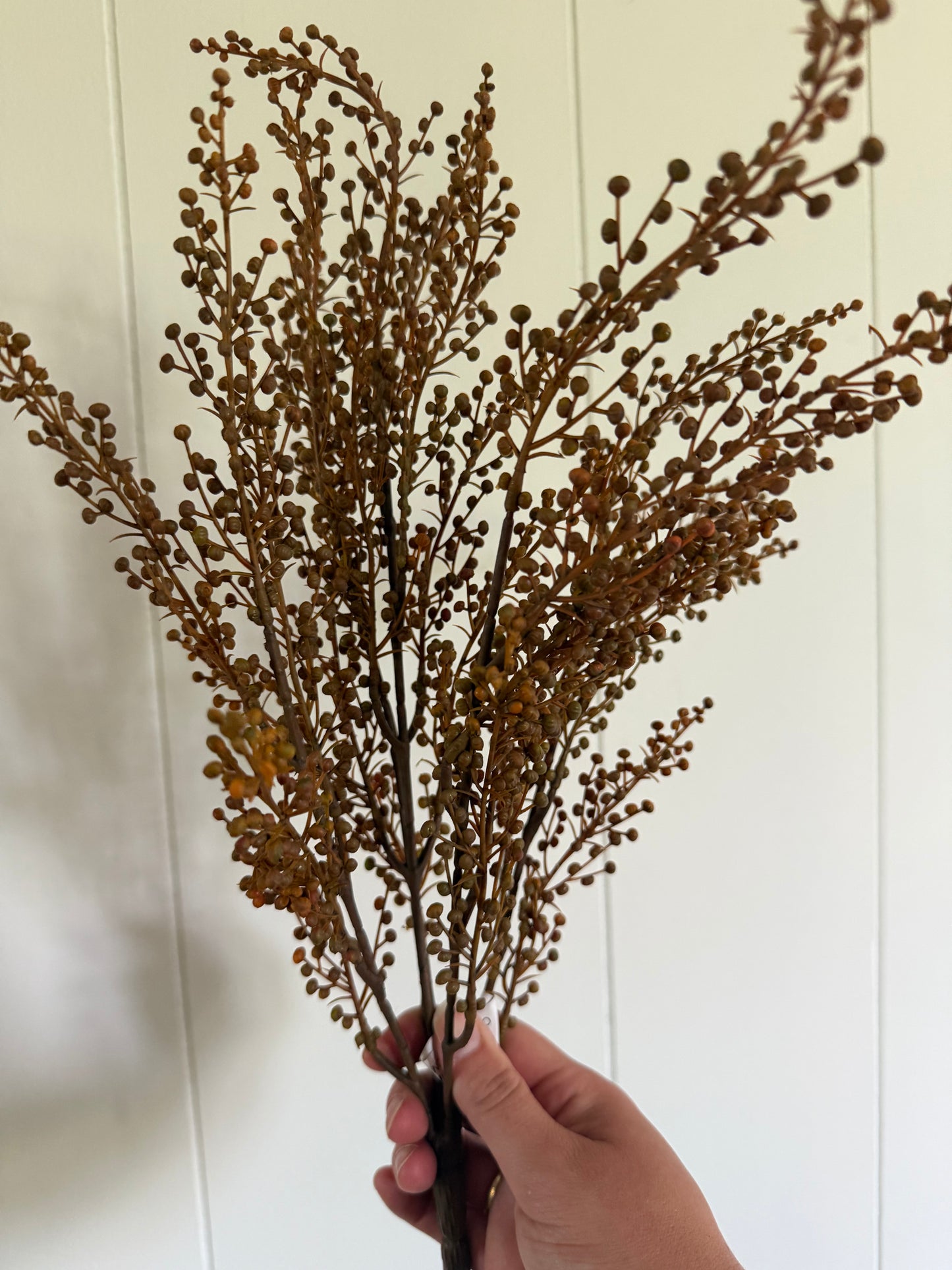 Brown Pepperberries Bush 18"