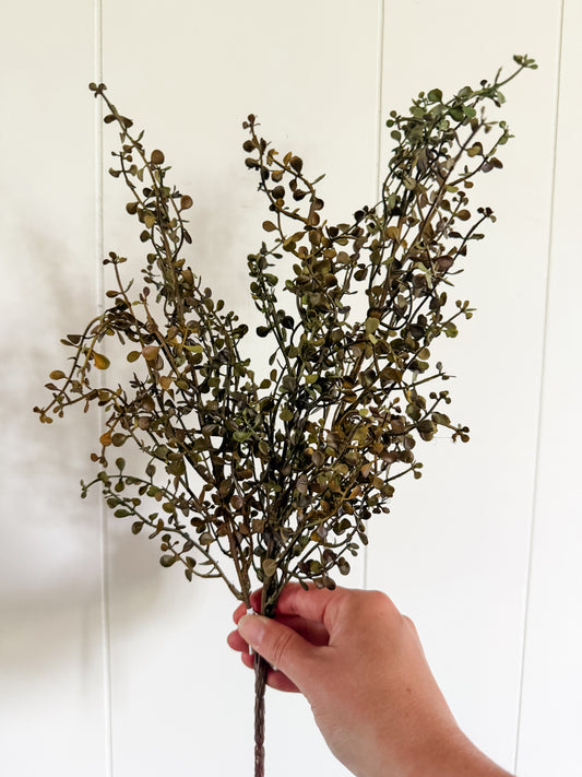 Green Baby Tears Bush-20"