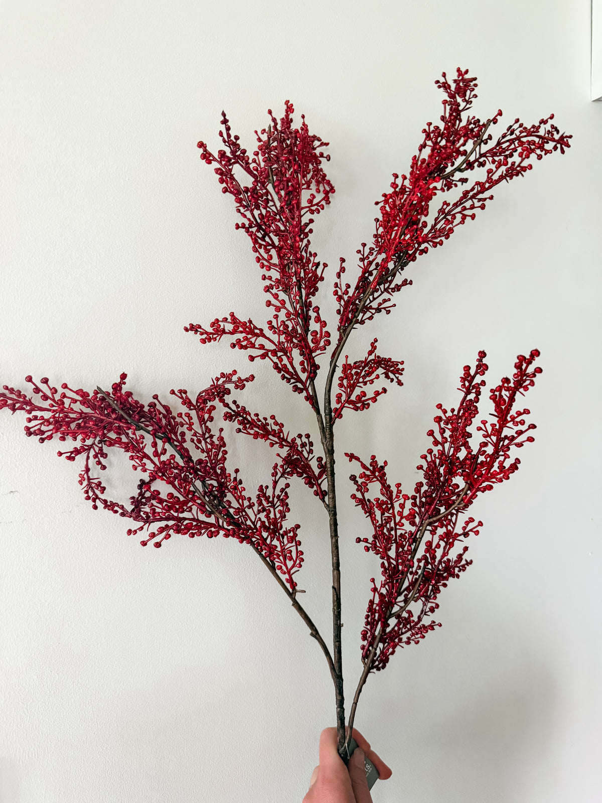 Red Berry Branch