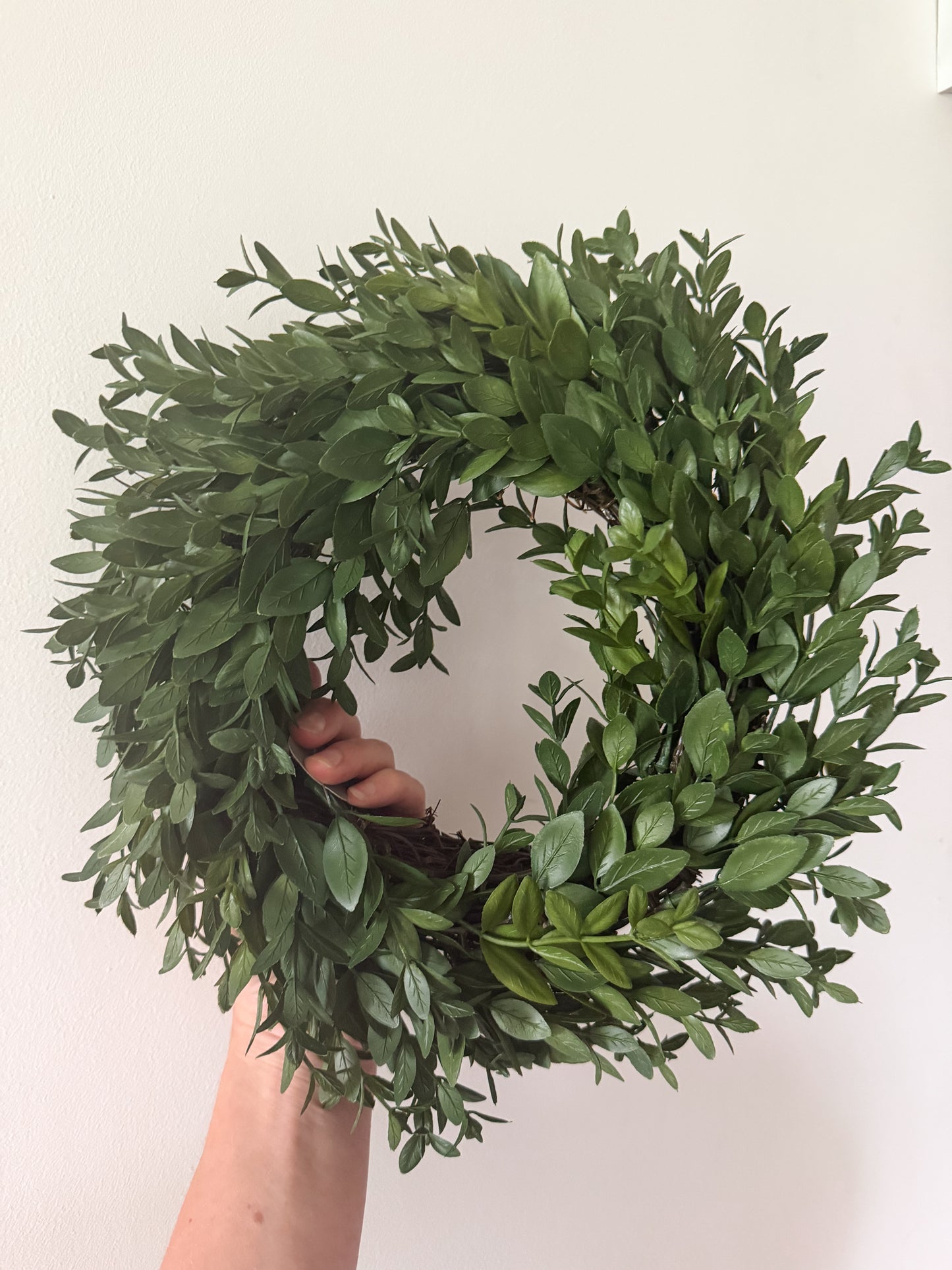Boxwood Wreath- 12"