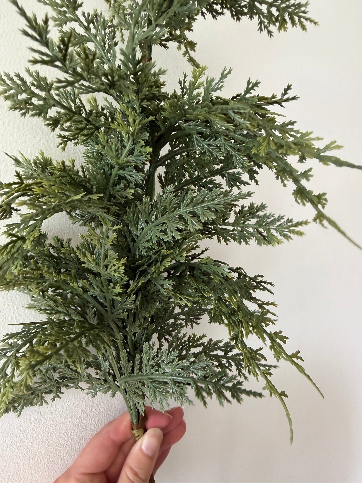 Cedar Spray-24"