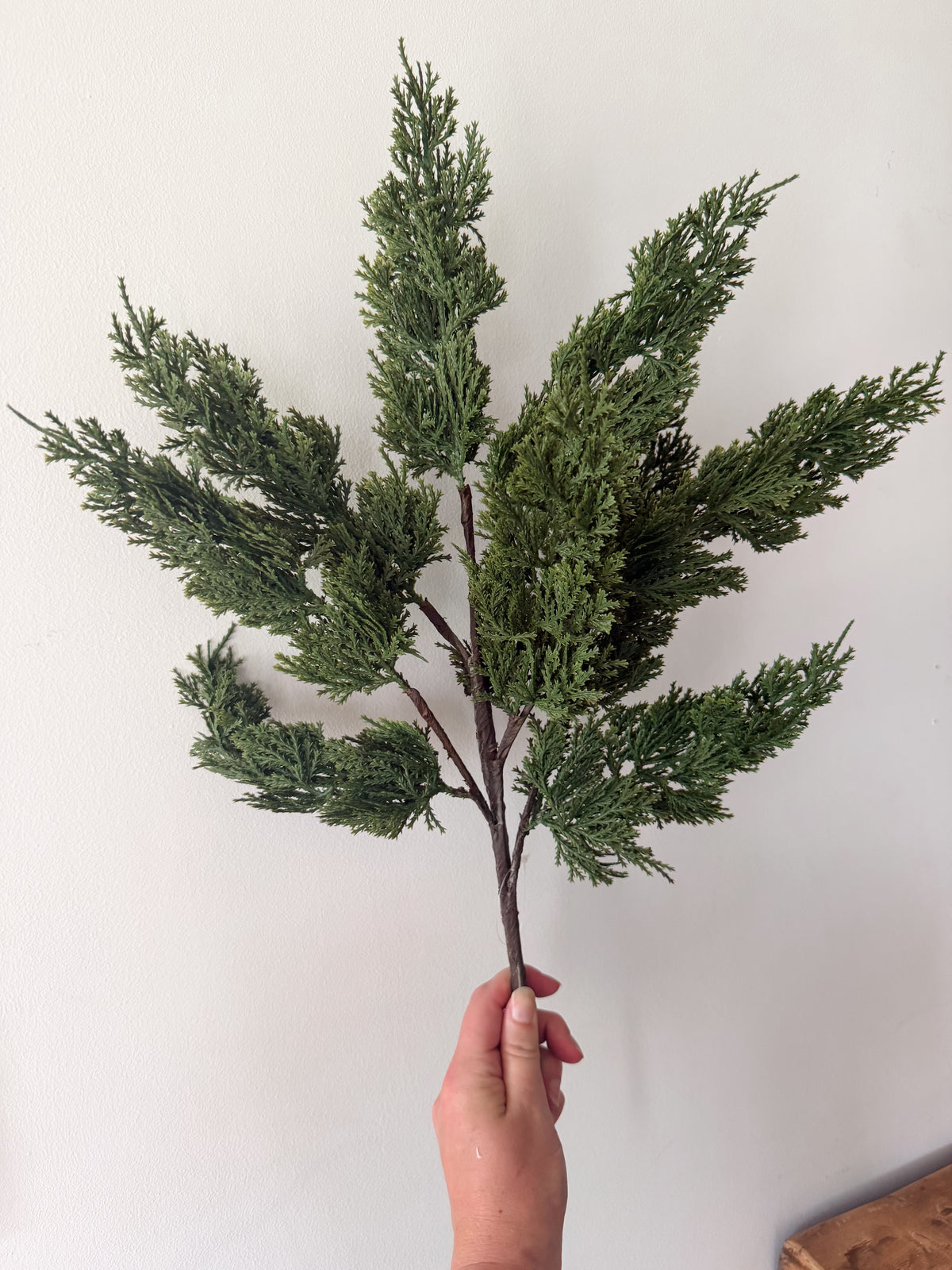 Green Cedar Spray